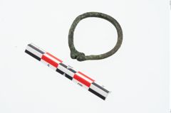 Foto von Bronzering (NHMW-PRAE-026637)